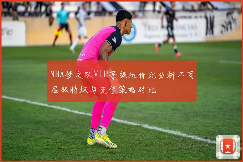 NBA梦之队VIP等级性价比分析不同层级特权与充值策略对比