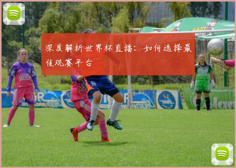 深度解析世界杯直播：如何选择最佳观赛平台
