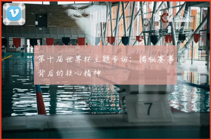第十届世界杯主题专访：揭秘赛事背后的核心精神