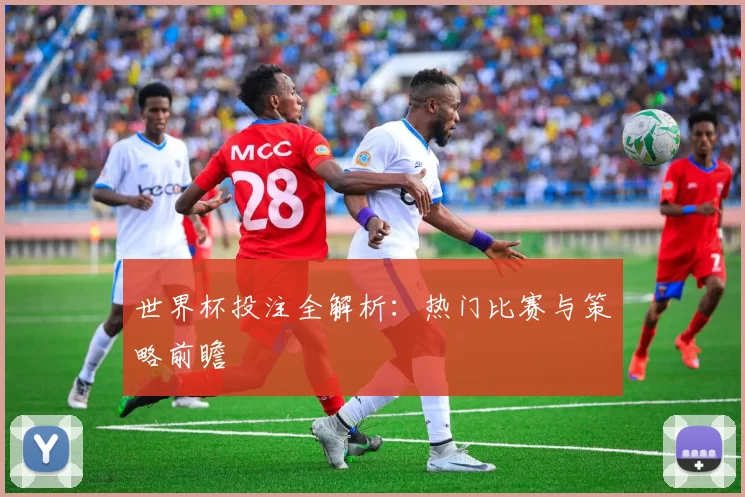 世界杯投注全解析：热门比赛与策略前瞻