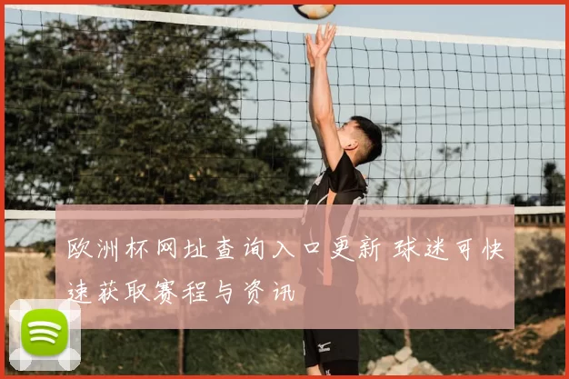 欧洲杯网址查询入口更新 球迷可快速获取赛程与资讯